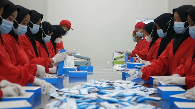 Produksi DMI